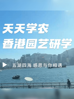 与香港园艺学会联合举办香港园艺研学，专业园境师带队讲解。